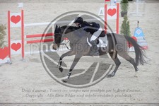 ref. photo 3413597