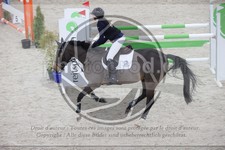 ref. photo 3413598
