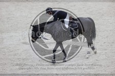 ref. photo 3413624