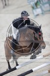 ref. photo 3413647