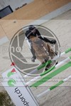 ref. photo 3413662