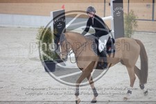 ref. photo 3413669