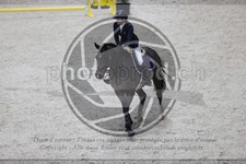 ref. photo 3413684