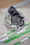 ref. photo 3413697