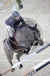 ref. photo 3413699