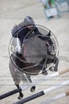 ref. photo 3413704