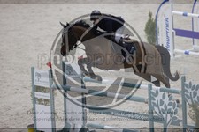 ref. photo 3413712