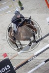 ref. photo 3413719