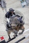 ref. photo 3413728