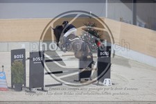ref. photo 3413729