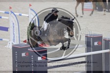ref. photo 3413730