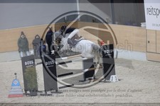 ref. photo 3413739