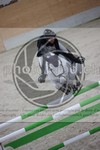 ref. photo 3413743