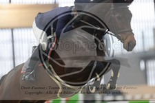 ref. photo 3413756
