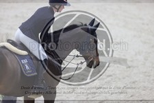 ref. photo 3413782