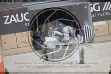 ref. photo 3413792