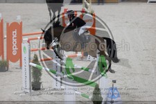 ref. photo 3413794