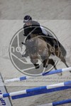 ref. photo 3413797