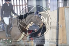 ref. photo 3413809