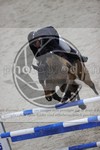 ref. photo 3413815