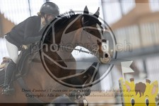 ref. photo 3413832