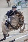ref. photo 3413869