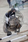 ref. photo 3413878