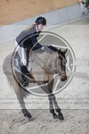 ref. photo 3413881