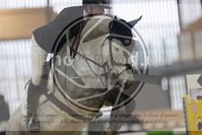 ref. photo 3413917