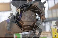 ref. photo 3413945