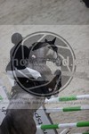 ref. photo 3413952