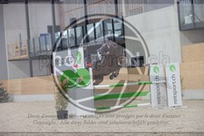 ref. photo 3413985