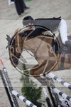 ref. photo 3414058