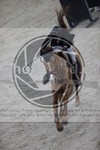 ref. photo 3414060