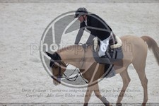 ref. photo 3414063