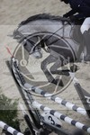 ref. photo 3414078