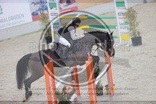 ref. photo 3414089