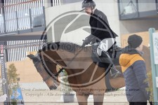 ref. photo 3414166