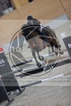 ref. photo 3414170