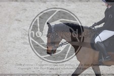ref. photo 3414173
