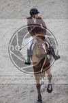 ref. photo 3414194