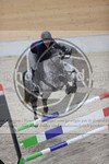 ref. photo 3414278