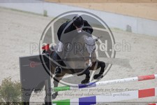 ref. photo 3414306