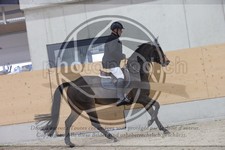 ref. photo 3414310