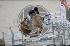 ref. photo 3414311