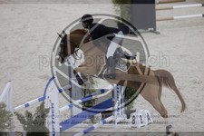 ref. photo 3414312