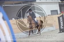 ref. photo 3414368