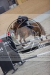 ref. photo 3414371