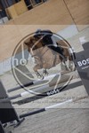 ref. photo 3414376