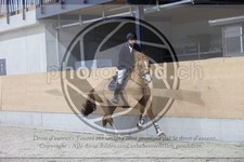 ref. photo 3414384